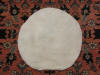 Steer Skins White for Drums