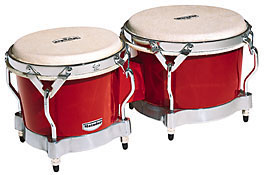 bongo head